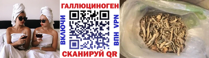 купить наркотик  Сорск  omg ссылки  Псилоцибиновые грибы Cubensis 